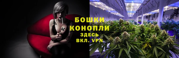 тгк Белокуриха