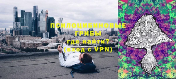 тгк Белокуриха